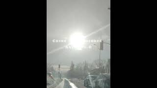 Crime and Violence - Anthony B 