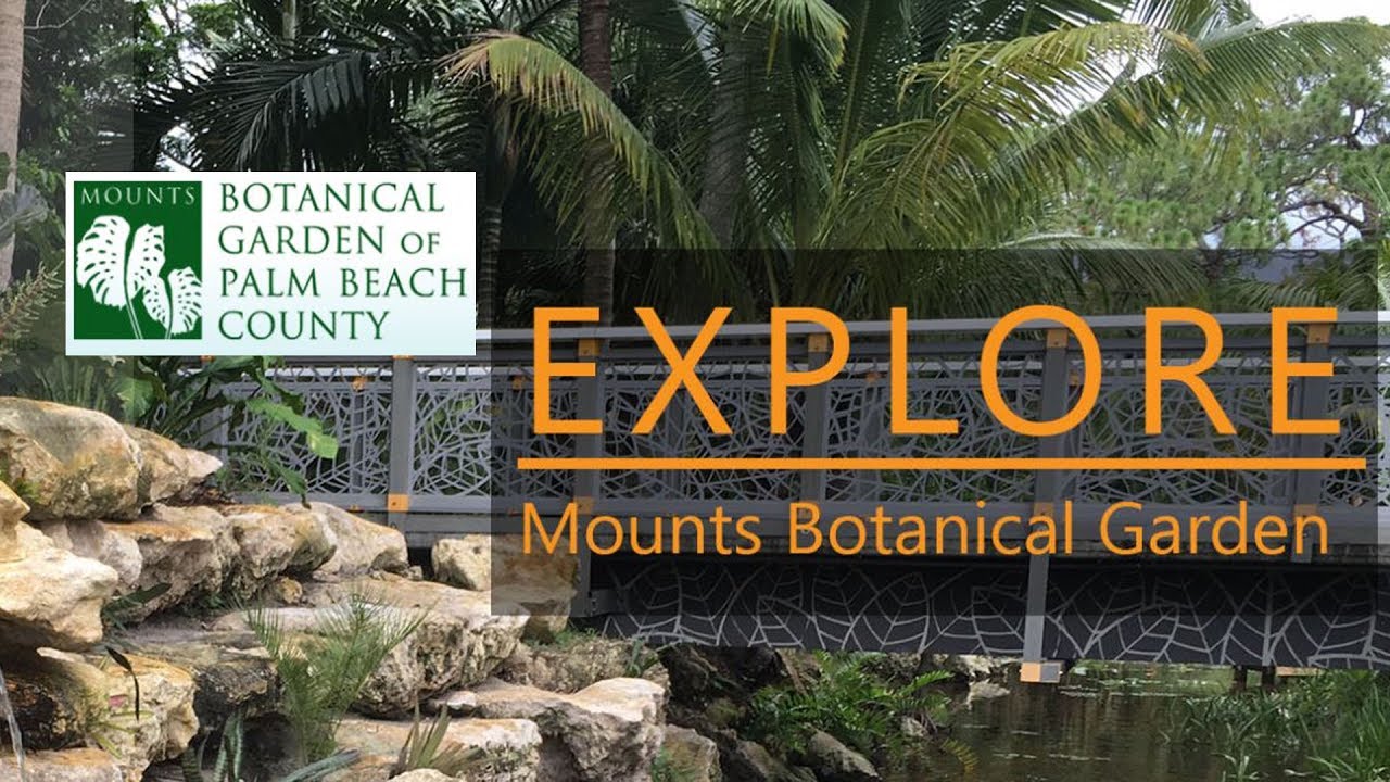 Mounts Botanical Garden West Palm Beach Youtube