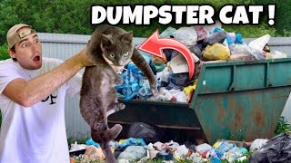 Rescued Helpless Cat From Restaurant Dumpster ! What Happens ?!