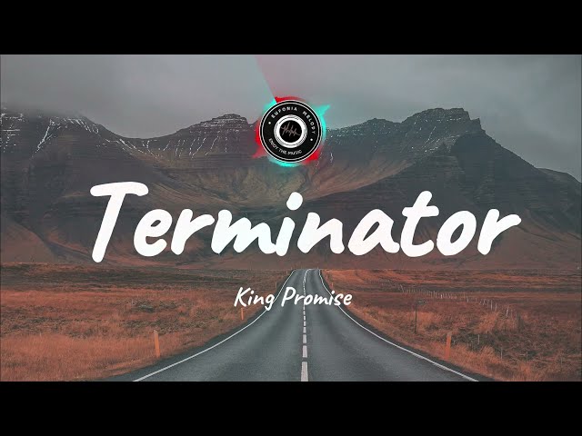 King Promise - Terminator feat. Young Jonn (Lyrics) class=