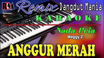 Anggur Merah - Karaoke (Nada Pria) Meggy Z || Dj Mix Dut Orgen Tunggal