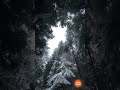 A Beautiful snowfall experience #shortsfeed #shorts