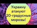 В Украину идут 20-градусные морозы и метели: синоптик назвал точную дату