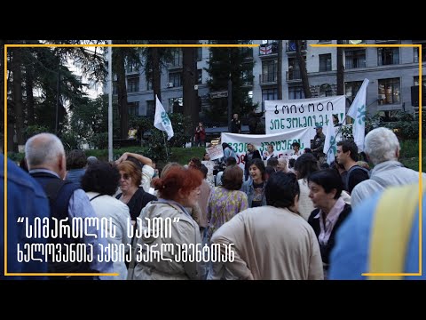 \"სიმართლის საათი\" - აქცია პარლამენტთან