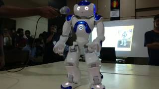 Nao Demonstration by RIG-NITC for Tathva '16