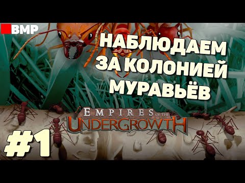 Видео: Empires of the Undergrowth - Наблюдаем за муравейником - Неспешное прохождение #1