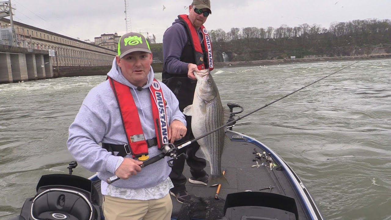 FOX Sports Outdoors SouthWEST 62018 Pickwick Lake Alabama Striper