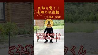 【奇跡の快復】絶望の《半身不遂宣告》を跳ね除けまた歩けるようになった!その裏には、ご本尊のご利益と吉ゾウくんの支えがあった!(千葉県 PA3様)#shorts