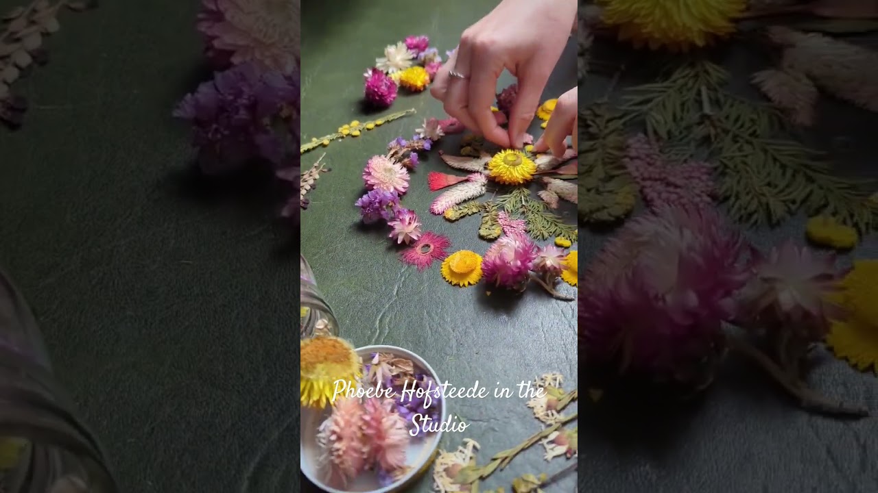 Plant Mandalas in the Studio with Phoebe Hofsteede 