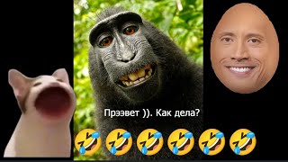 Засмеялся подписался челендж 1.ч