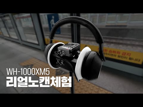 창피함을 무릅쓰고 직접 녹음한 대중교통 <strong>노이즈</strong> 캔슬링 비교😭 신제품이 구형보다 안 좋다? 소니 헤드폰 WH-1000XM5 vs WH-1000M4 리얼 노캔 <strong>체험</strong>!