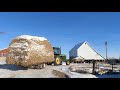 Bedding Cattle with BIG STACKS of corn stover