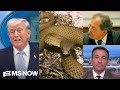 Snakes &amp; ‘insane’ rants: SEE Trump’s decline as reported by NYT, WH Vet SPEAKS