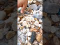 Gem stones from the canyon #outdoors。 diamonds and gold