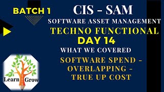 SAM - Day 14: Software Spend - Overlapping - True Up cost screenshot 1
