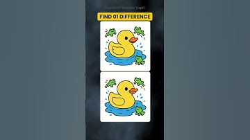 Find the differences #33 #puzzle