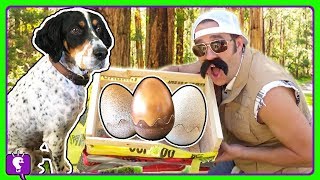 eggs found in forest whats in them hobbygrit mystery by hobbykidstv