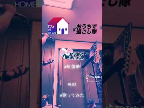 紅蓮華　Lisa  男性vo. が原キーで歌ってみた❣️coverd by Kosuke→