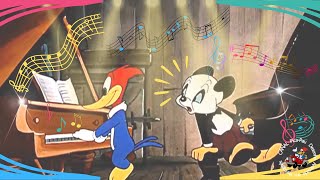 Picapau  Episdio Um Concerto Para Chopin   Desenho Animado Dublado Em Portugus