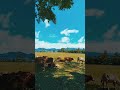 Beautiful Nature With Cow 🐄🍃 | Relaxing Short Video #shortvideos #shortsviral #nature #filter