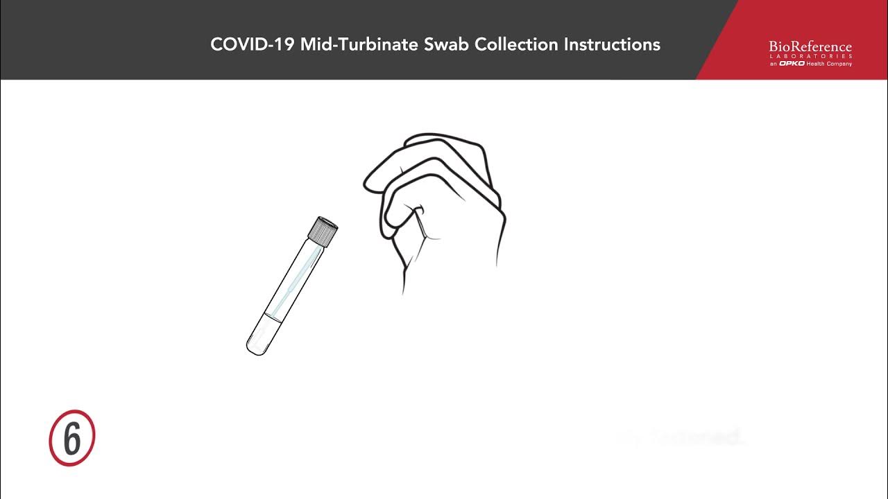 COVID19 MidTurbinate Swab Collection Instructions BioReference