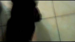 MOV00231.MP4 News