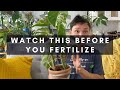 When & Why to Fertilize Houseplants | What Does Fertilizer Really Do for Your Indoor Plants | Ep 26