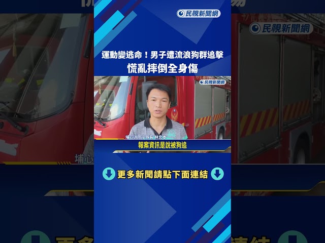 運動變逃命! 男子遭流浪狗群追擊 慌亂摔倒"全身傷"－民視新聞