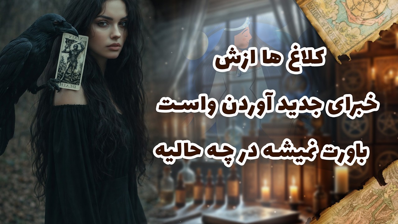 شراره تاروت کوچینگ - کلاغ ها ازش خبرای جدید آوردن واست   باورت نمیشه در چه حالیه