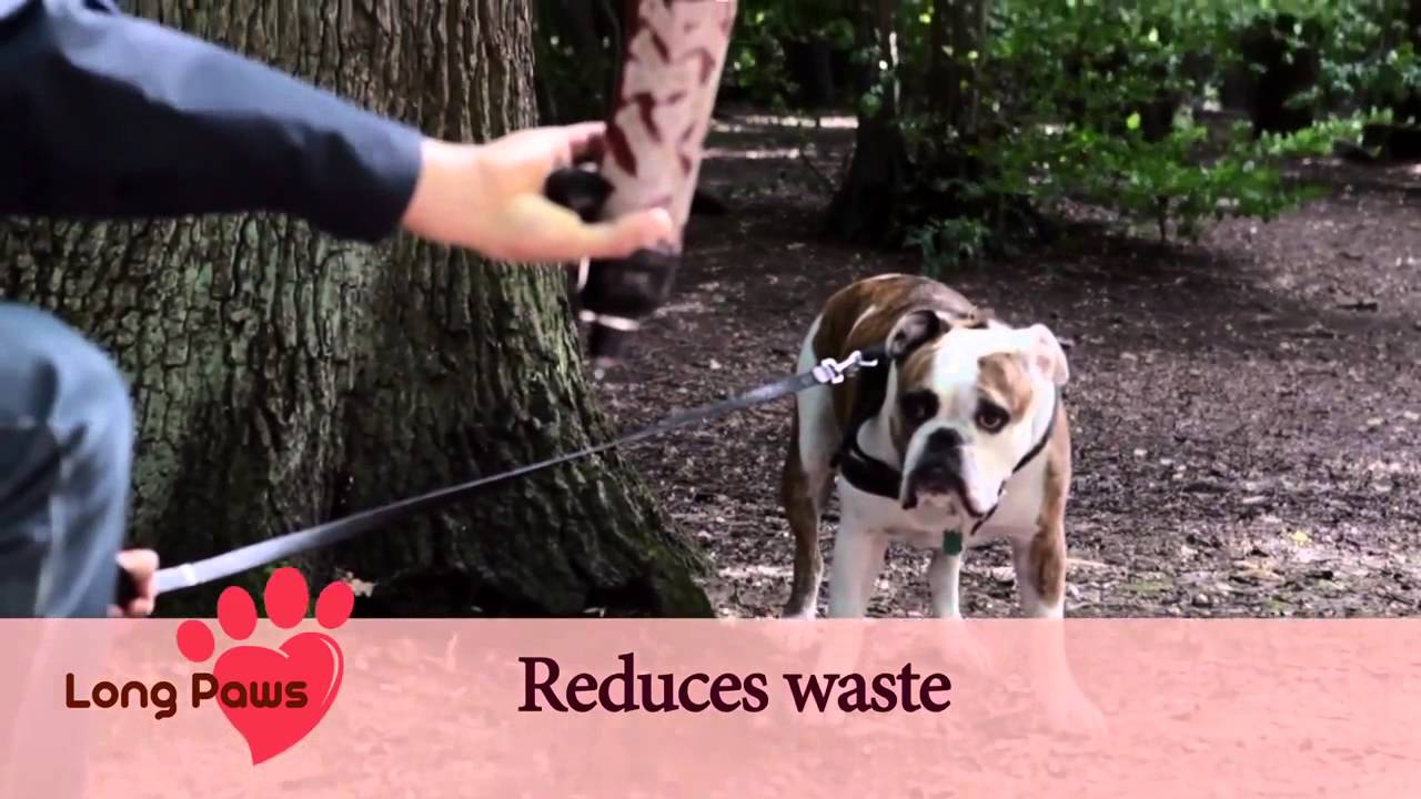 long paws water bottle