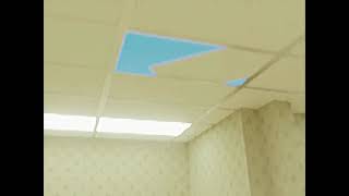 0812.mp4