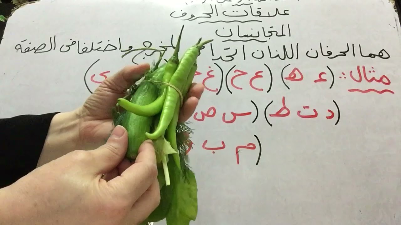 المتجانسان