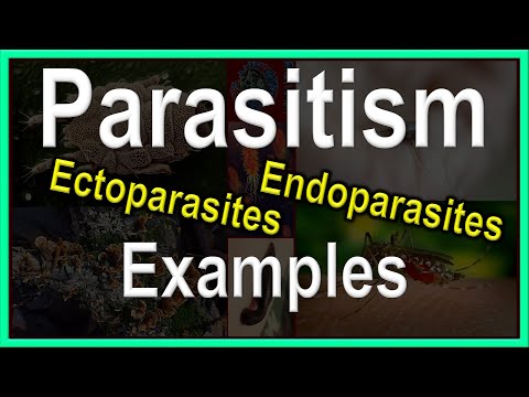 परजीवीवाद, Ectoparasites र Endoparasites, उदाहरणहरू