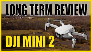 Dji Mini 2 Long Term Review Watch Before You Buy