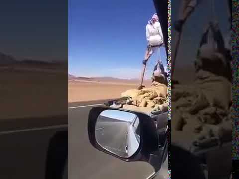 لو هاي المدينة لو ماكو