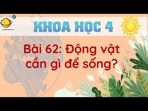 Video Khoa học 4 - Tuần 31 - Động vật cần gì để sống? - YouTube