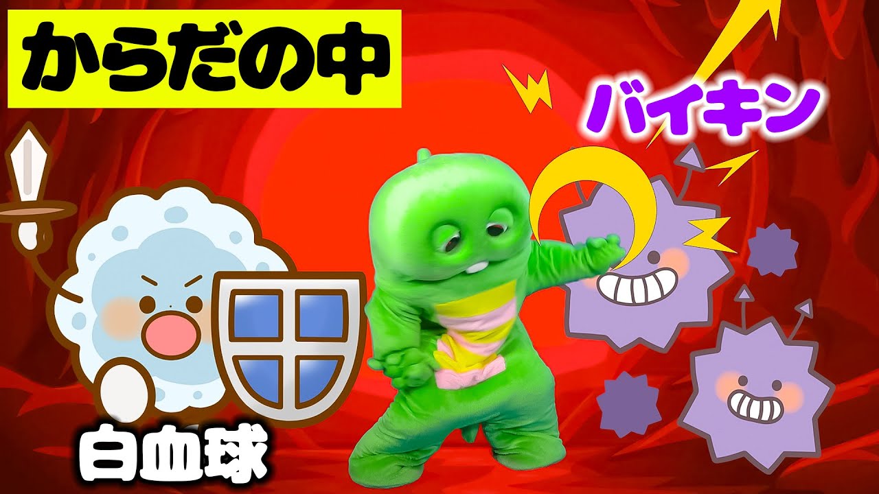 Get inside the body and defeat the bad germs! How to heal wounds