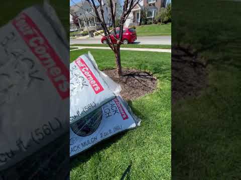 Video: Uused Bagged Mulch - What To Do With Leftover Mulch