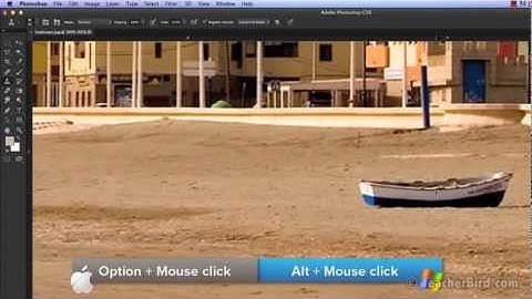 Photoshop CS6   clone stamp tool