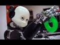 Teaching Bert: iCub Robot Learns About the World