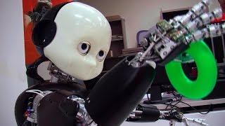 Teaching Bert: iCub Robot Learns About the World