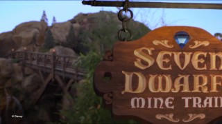 Seven Dwarfs Mine Train