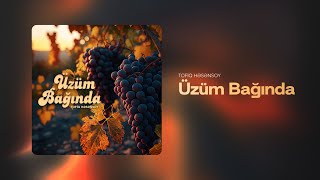 Tofiq Həsənsoy - Üzüm Bağında (Rəsmi)