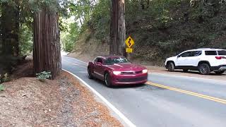 Short stop on the Big Basin Hwy, CA. Santa Clara - Santa Cruz car trip