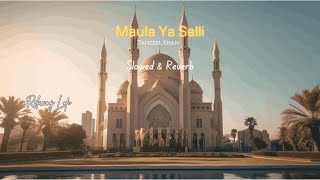 Maula Ya Salli - @tanzeelkhan03 (Slow & Reverb) | Lofi