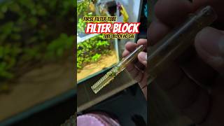 Aquarium Filter Tube Cleaning ✅️ #foryou #fishing #viral #trending  #ytshorts #shorts #pets #vlog
