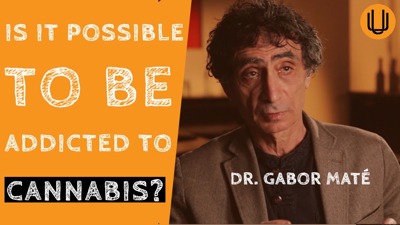 The Psychology of Cannabis Addiction | Dr. Gabor Maté