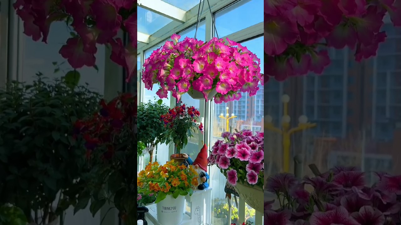 Get Growing 🌱🌸 Unique Petals Gardening Inspiration 