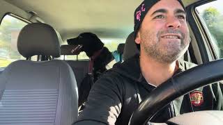 Blink 182 - Mutt Carpool Karaoke