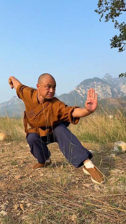 SHAOLIN MARTIAL ARTS MOVES || KICKBOXING KUNGFU TRAINING #shaolin #kungfu